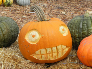 Big teeth, Nipomo Pumpkin Patch best carving idea